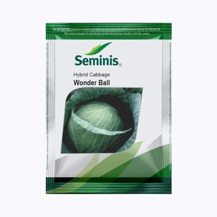Seminis Wonder Ball Hybrid Cabbage Seeds